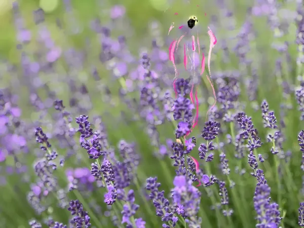 We Need You More Than You Think and This Headline